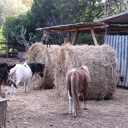 Heaven Trilocale 1 公寓 里卡迪