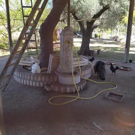 Apartamento Heaven Trilocale 1 Ricadi