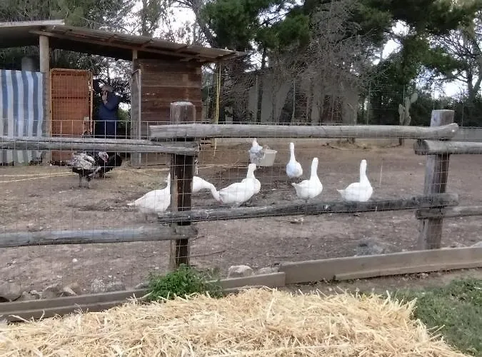 Heaven Trilocale 1 Apartamento *