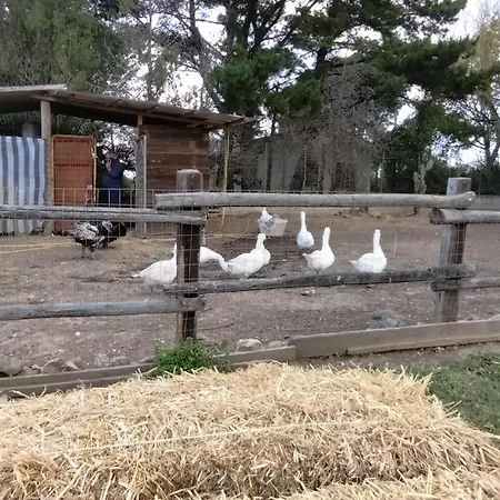 Heaven Trilocale 1 Apartment *