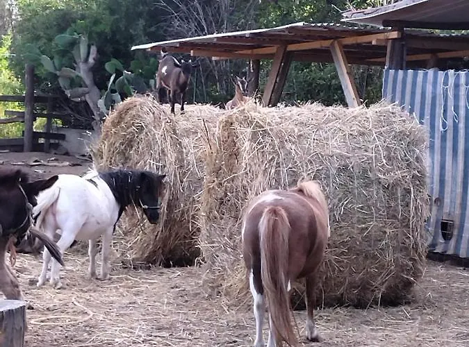 Heaven Trilocale 1 Apartamento Ricadi